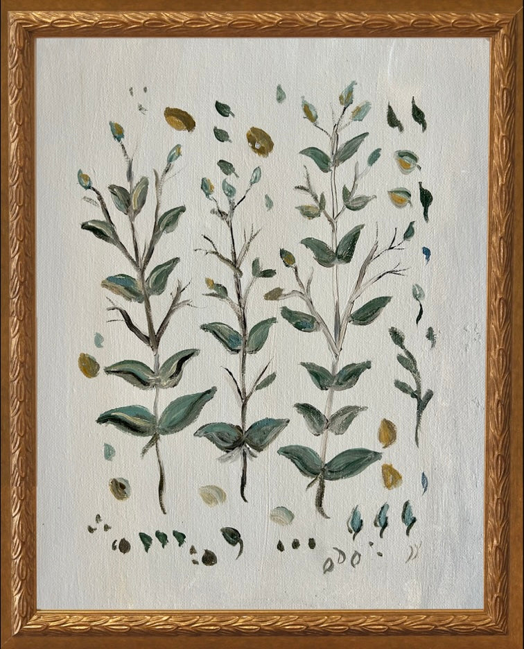 Botanical Studies - Boxwood
