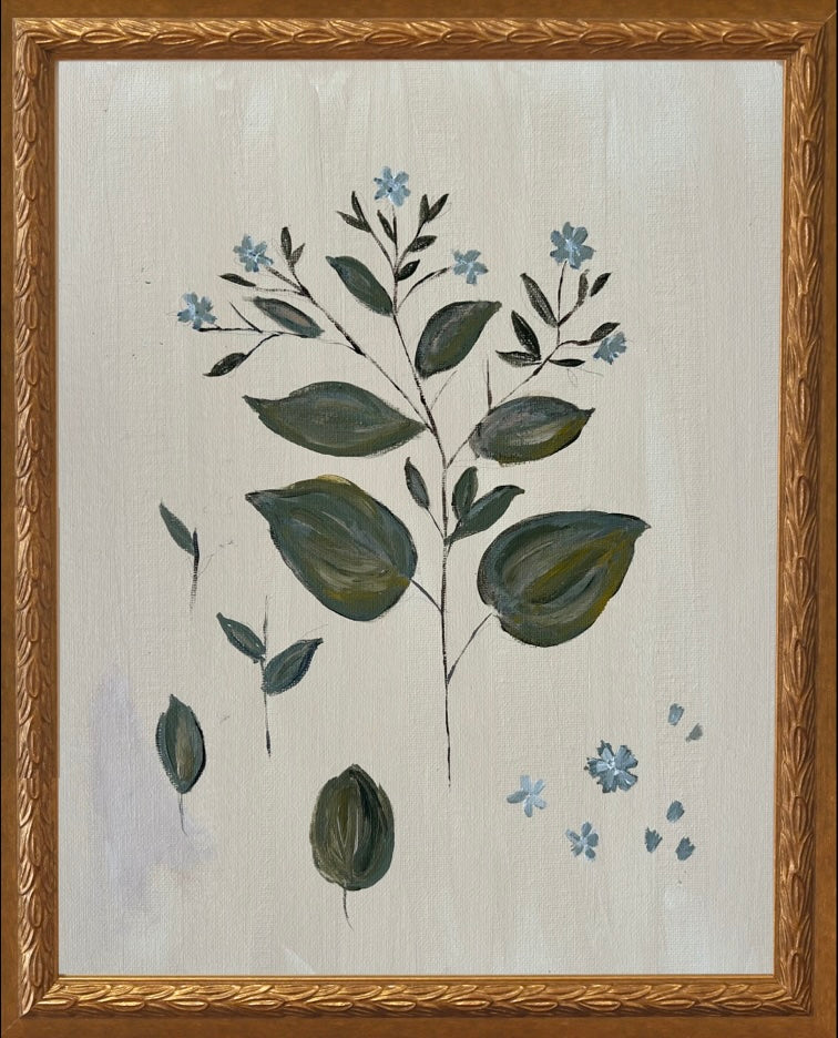 Botanical Studies - Forget Me Not