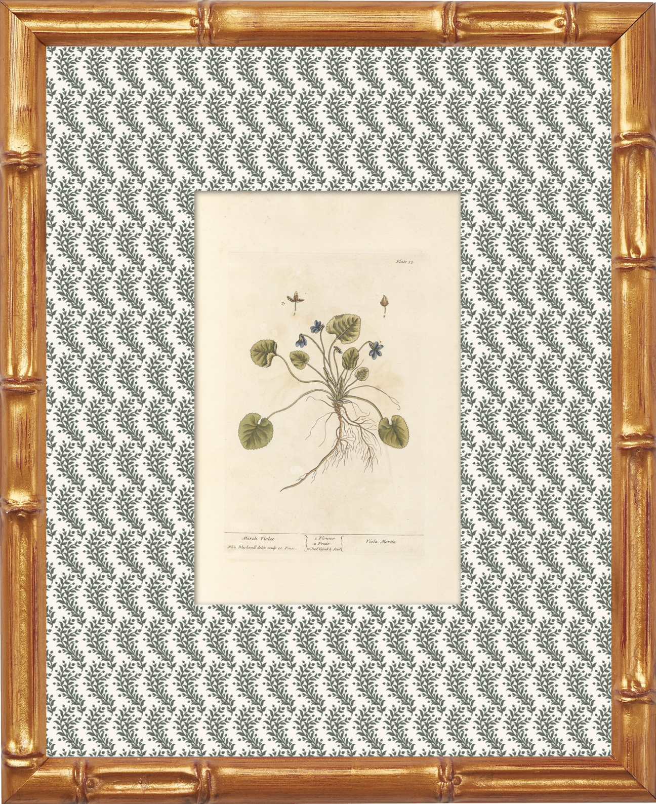 Antique Botanical Collection | Art Prints | Set of 12