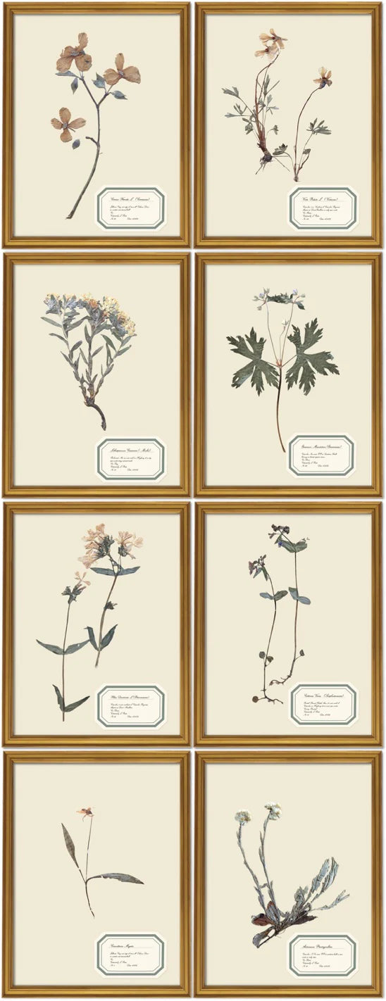 Aunt Lisa's Herbarium 1