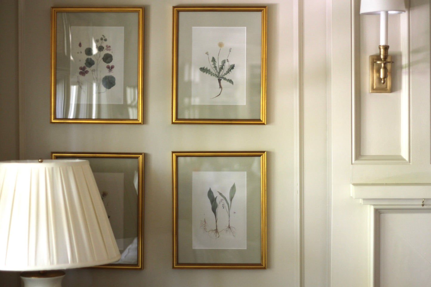 French Botanicals on Cream | Set of 8