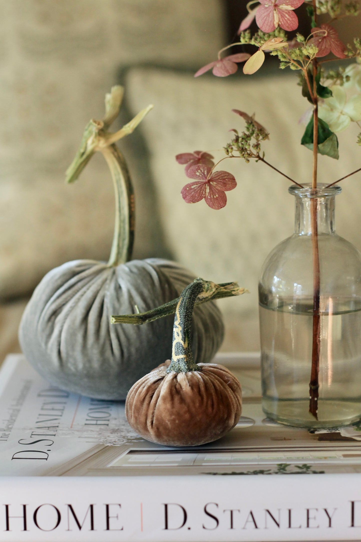 Mocha Velvet Pumpkins