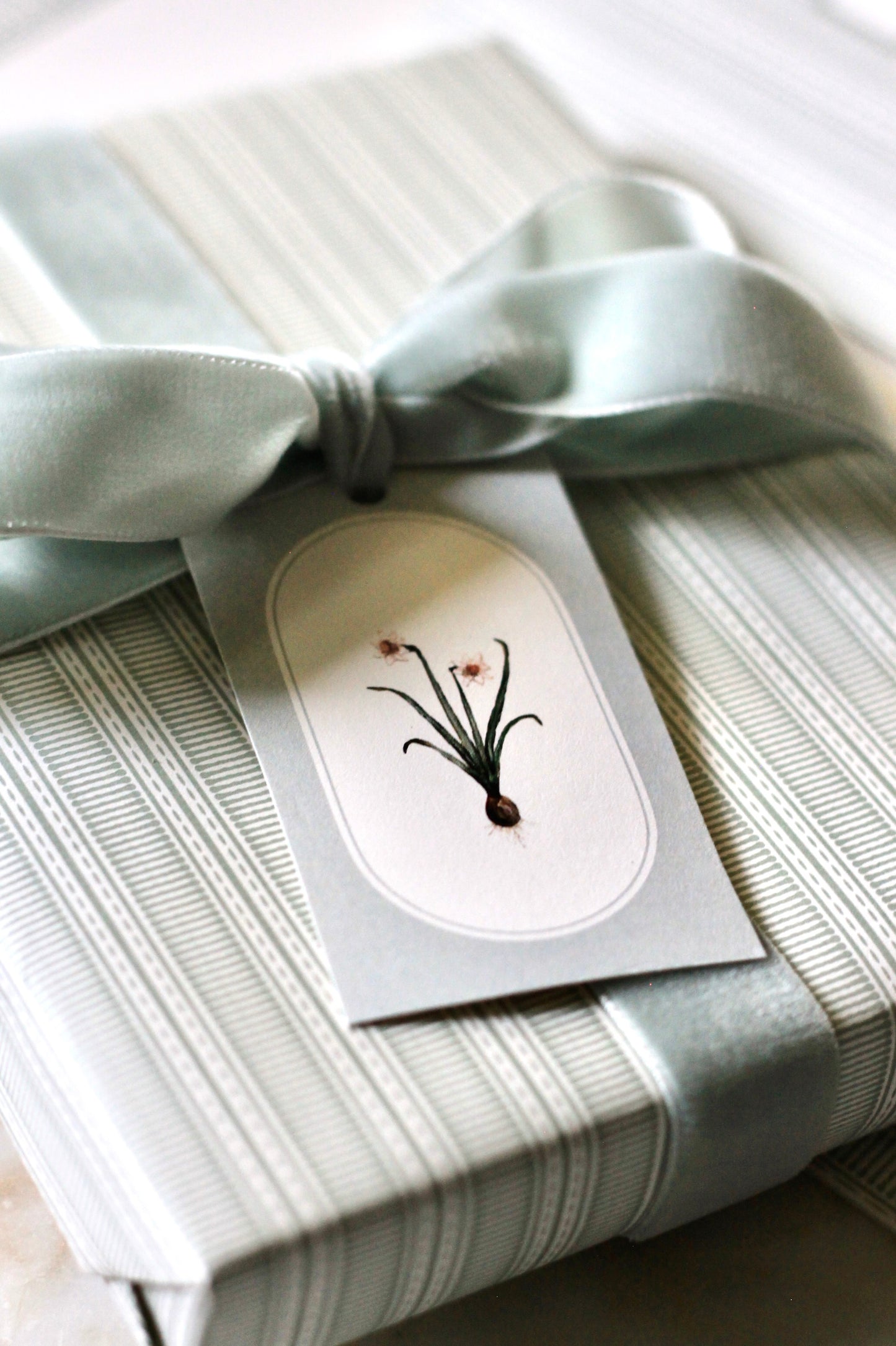 Luxury Velvet Ribbon | Silver