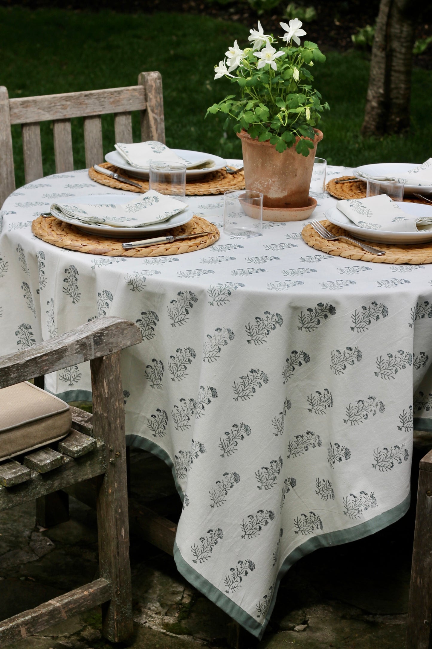 Charlotte in Blue Napkins