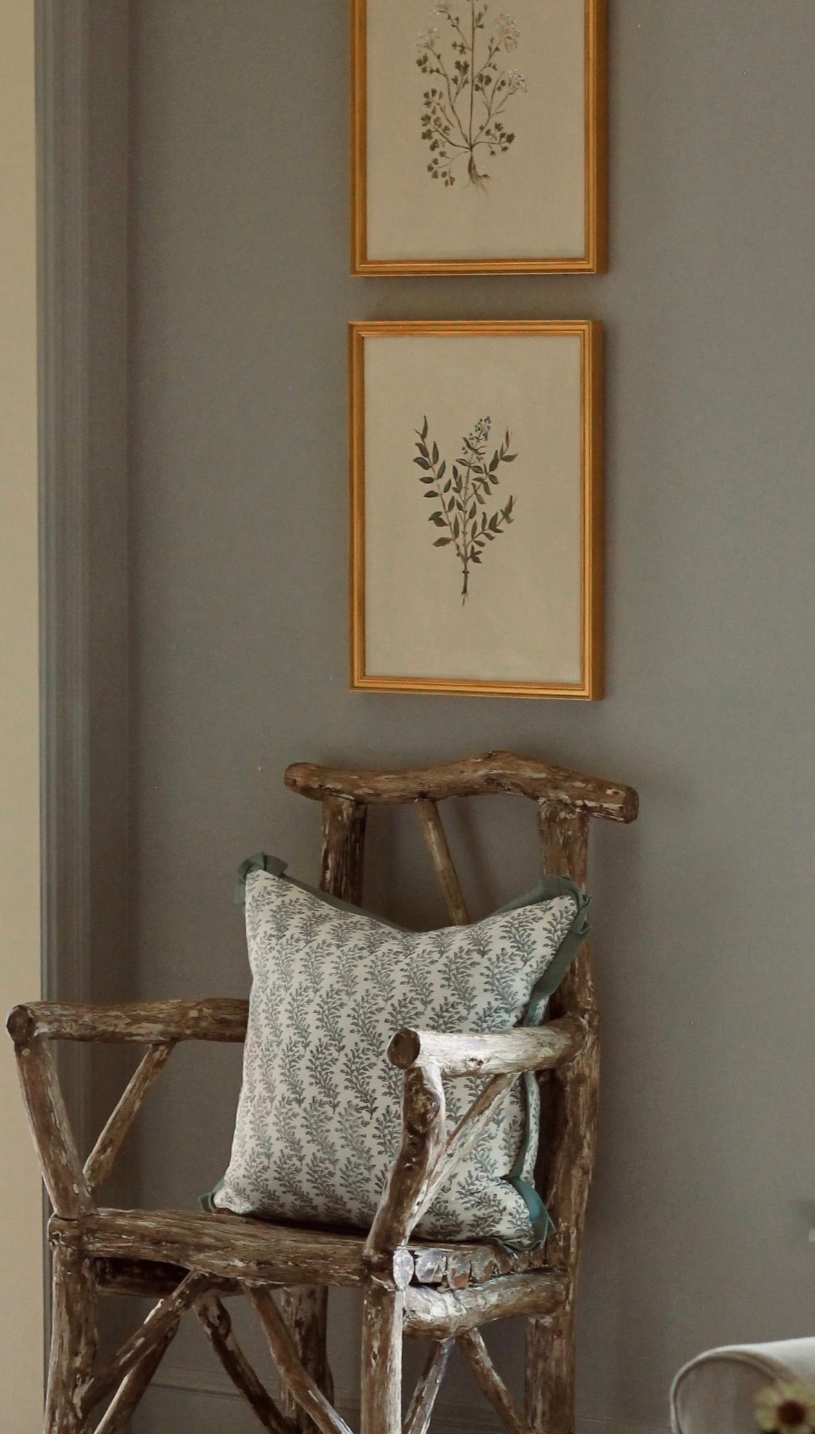 Original Botanical Painting Prints - Privet