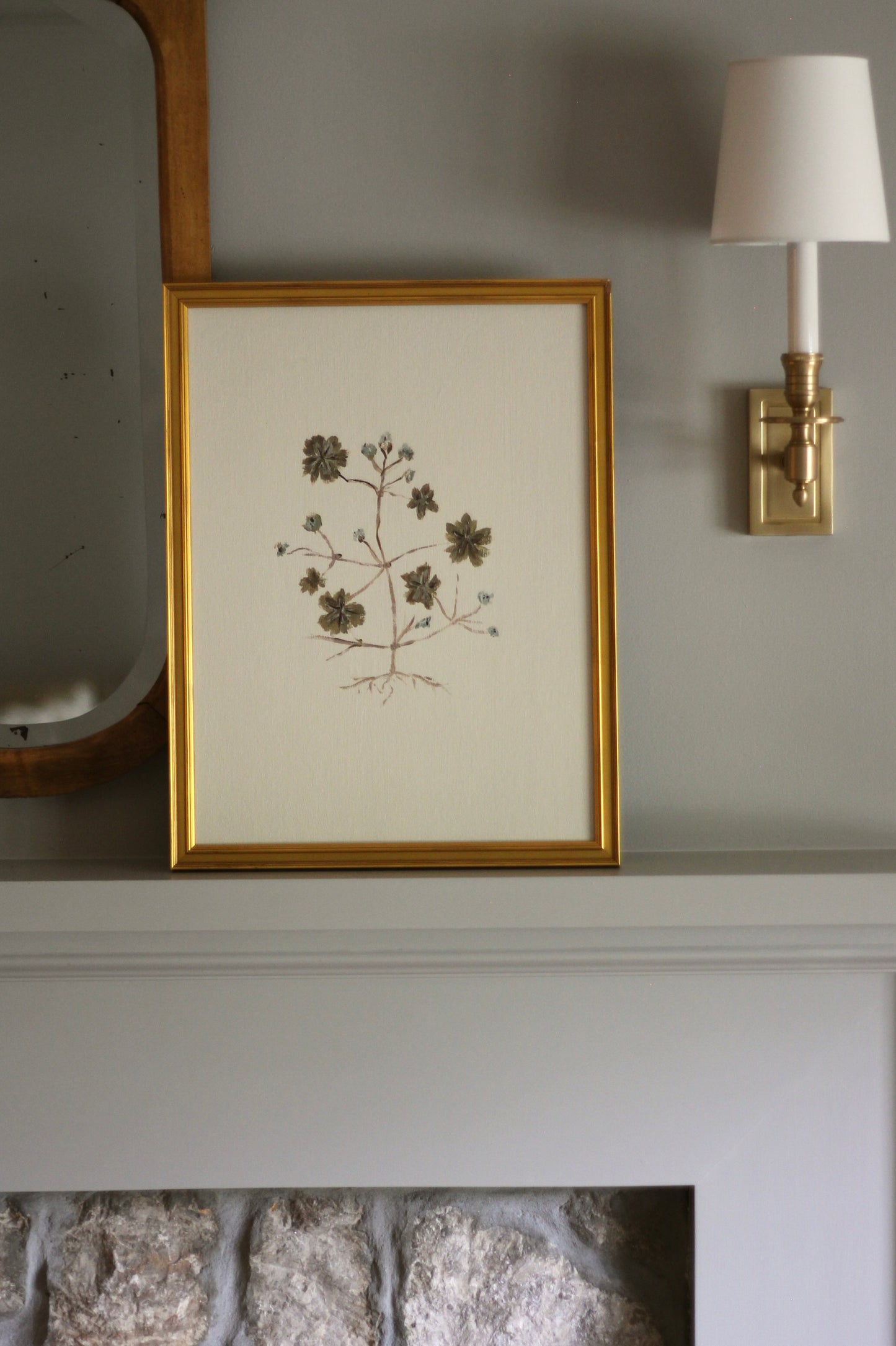 Original Botanical Painting Prints - Dove's Foot