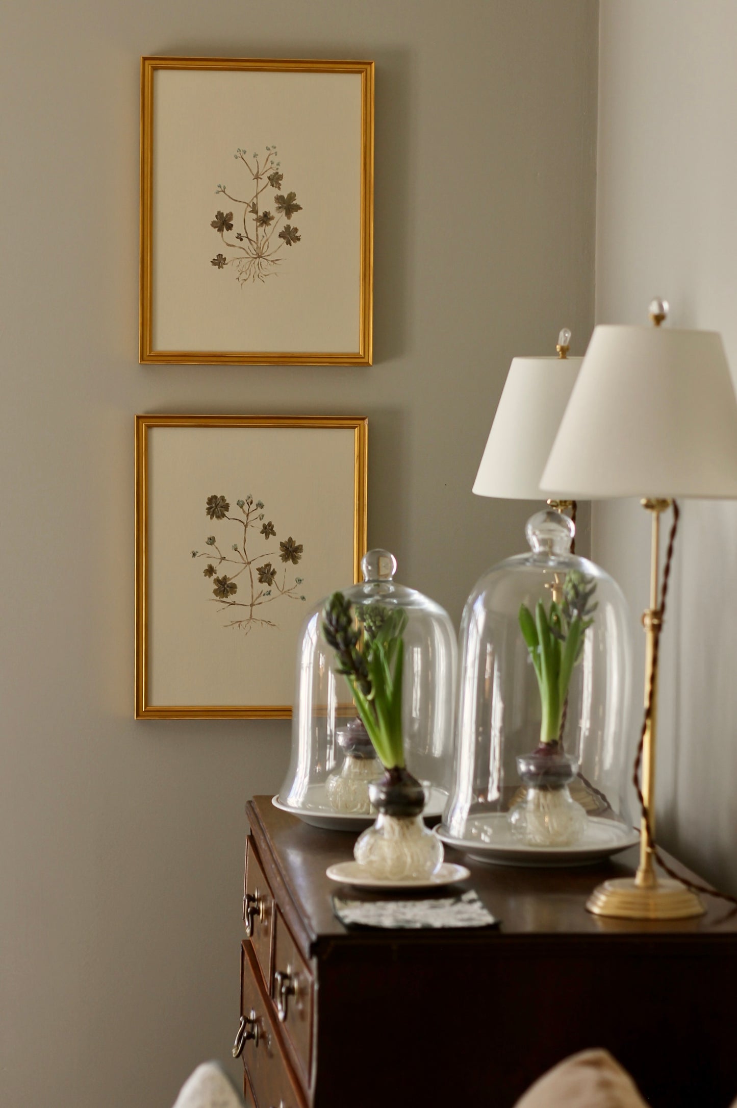 Original Botanical Painting Prints - Set of 4