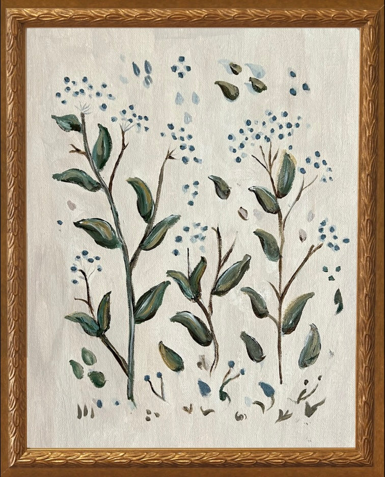 Botanical Studies - Viburnum