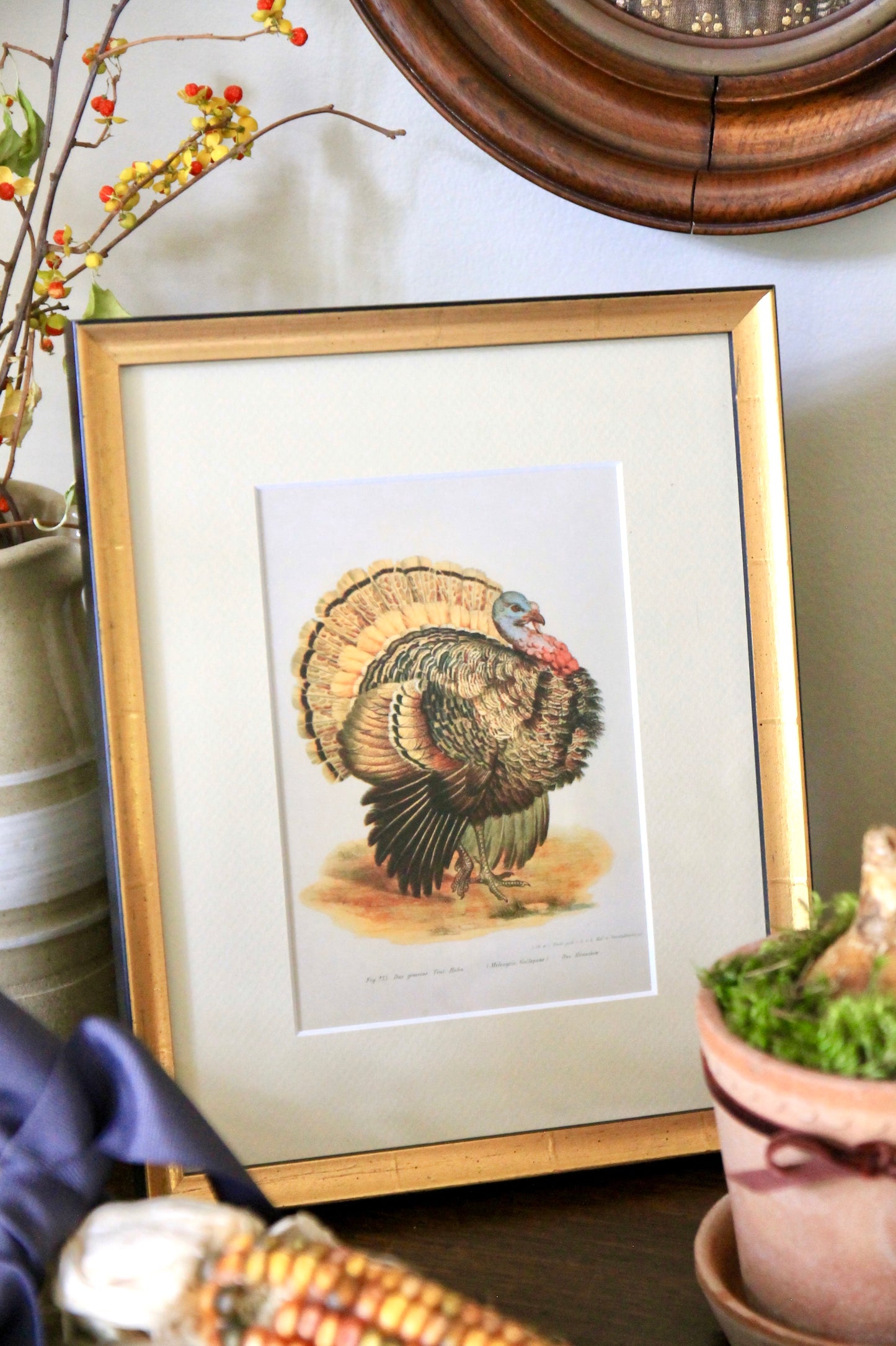 Vintage Turkey Print