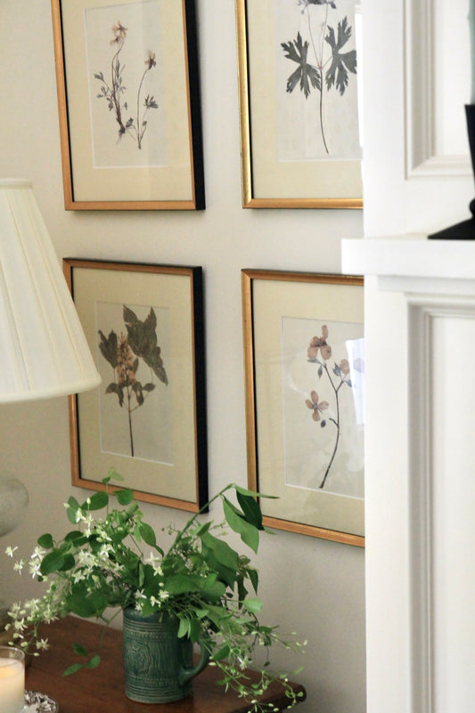 Aunt Lisa's Vintage Botanicals
