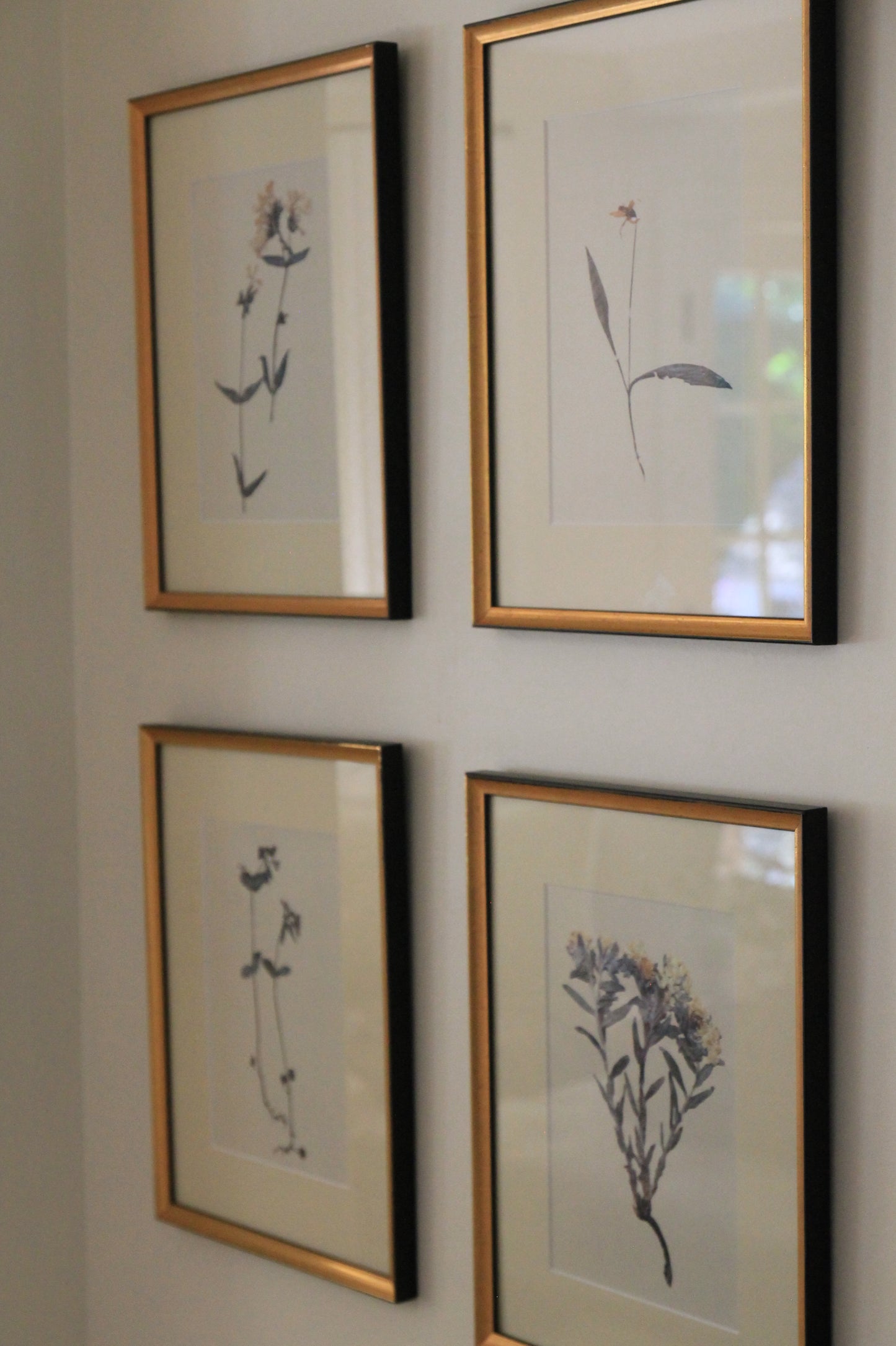 Aunt Lisa's Vintage Botanicals