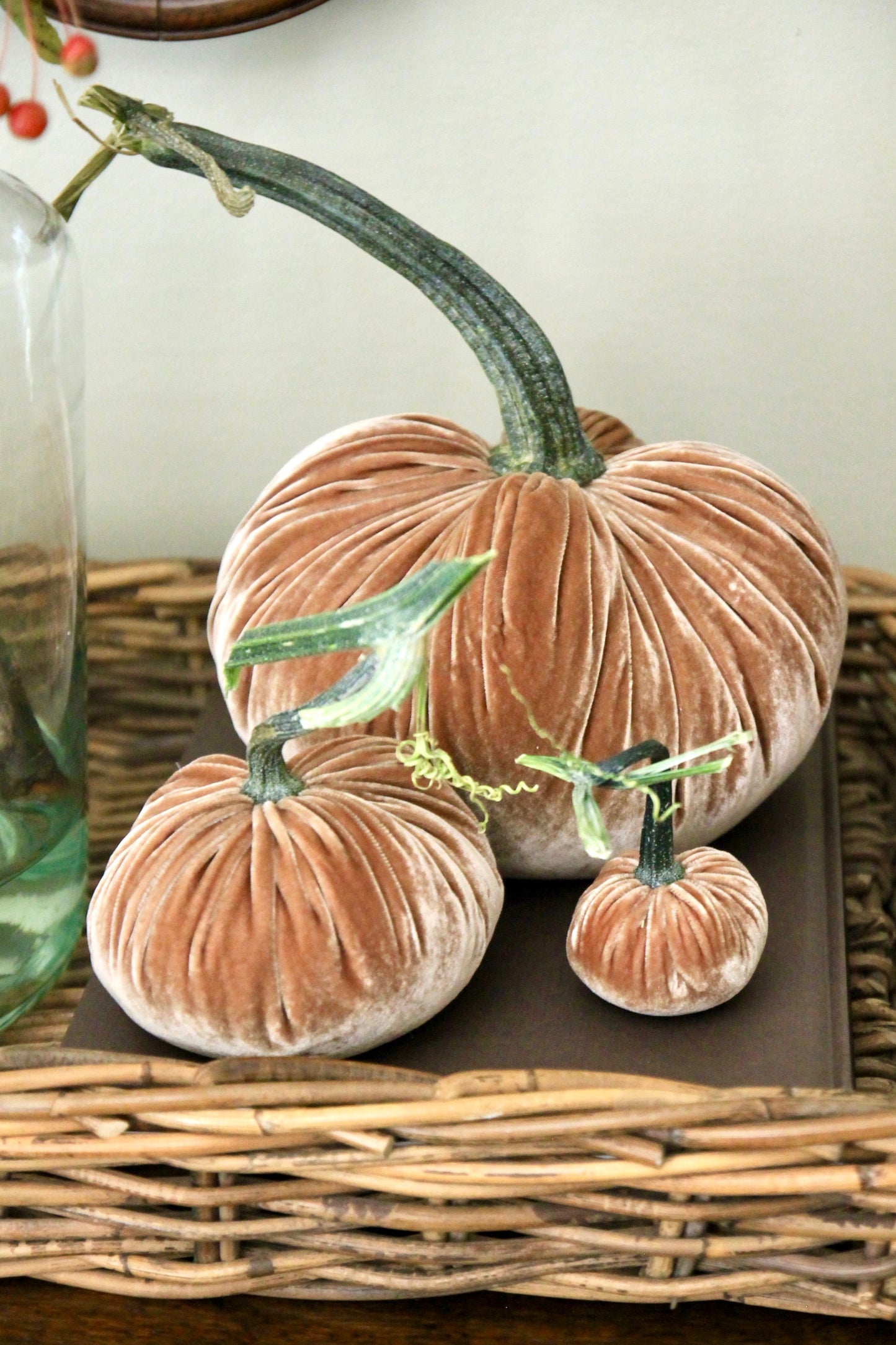 Latte Velvet Pumpkins