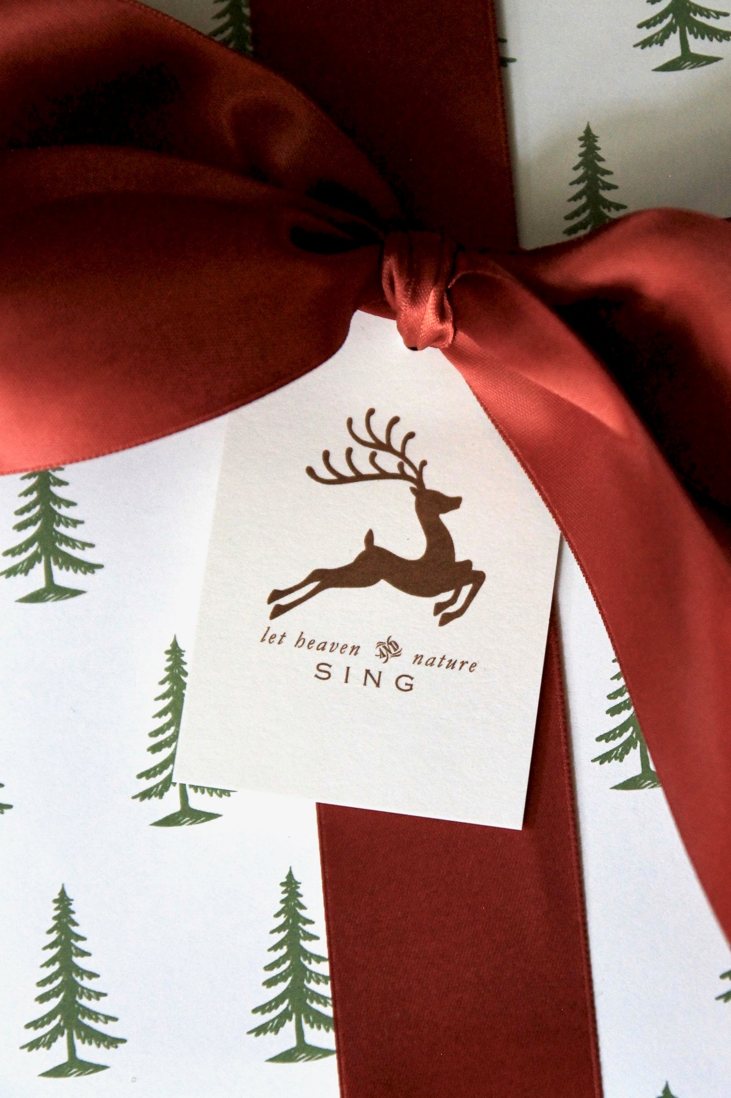 Rust Ribbon | Satin & Grosgrain