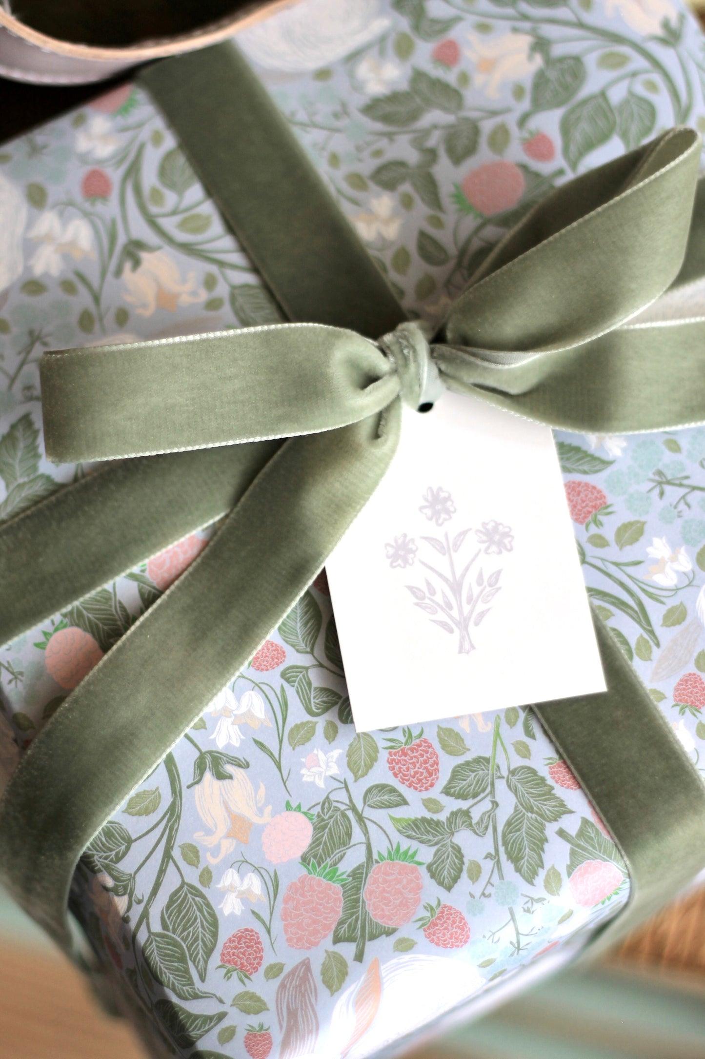 Luxury Velvet Ribbon | Rustic Sage