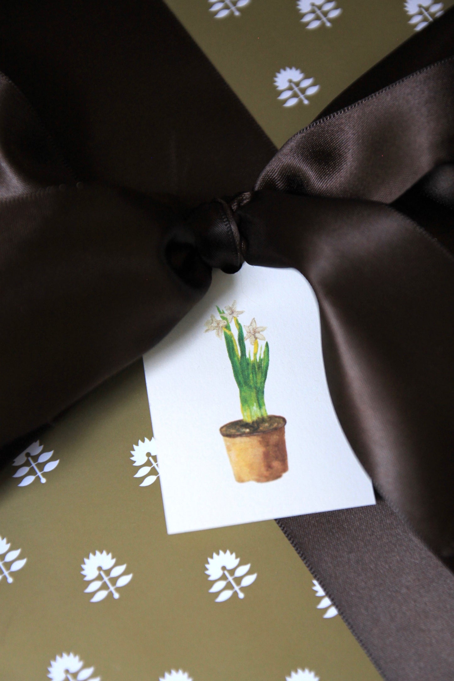 Paperwhites Tags - Set of 10