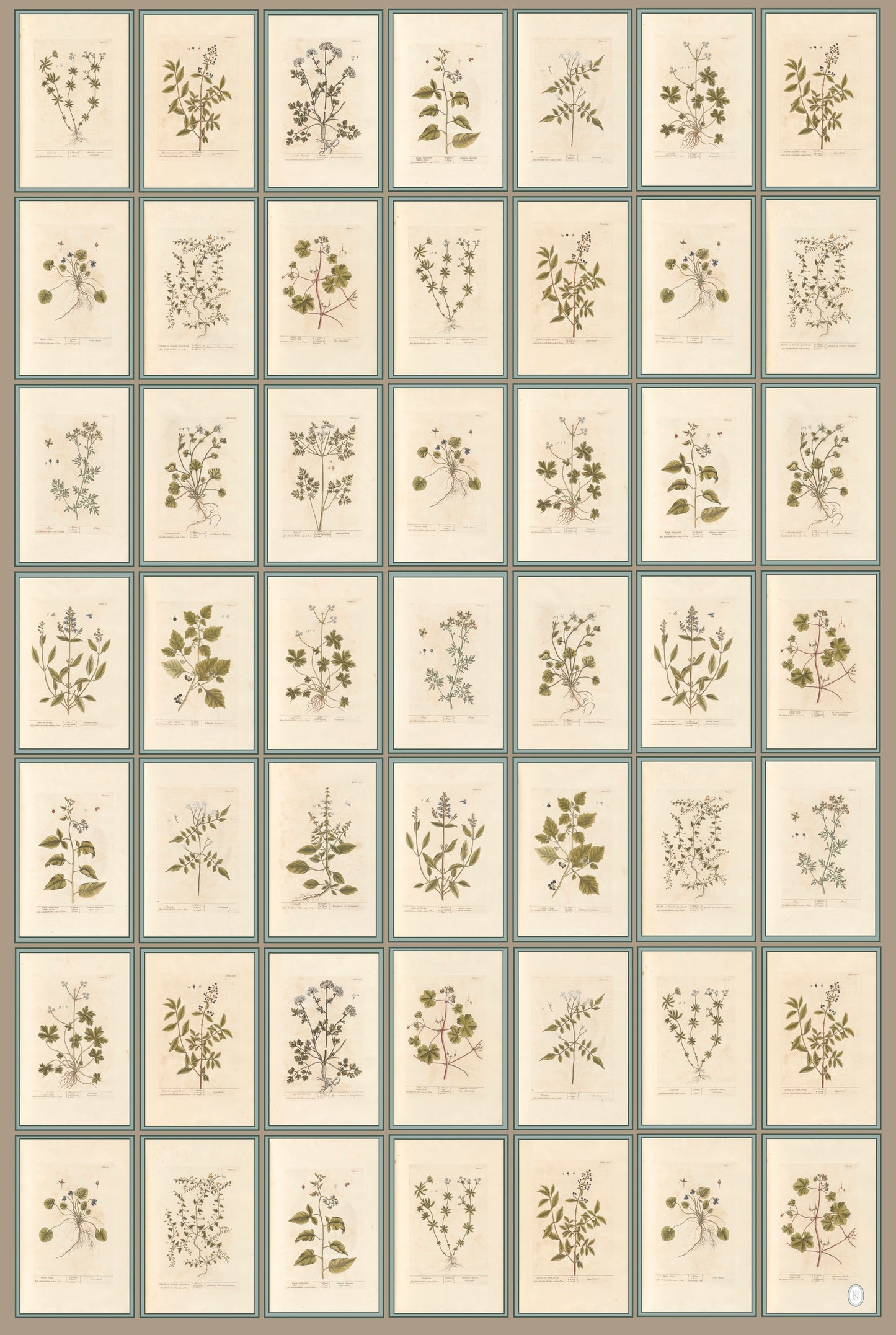 Botanical Wrapping Papers - 4 sheets