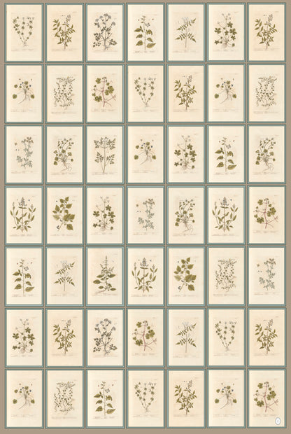 Botanical Wrapping Papers - 4 sheets