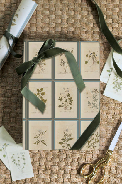 Botanical Wrapping Papers - 4 sheets