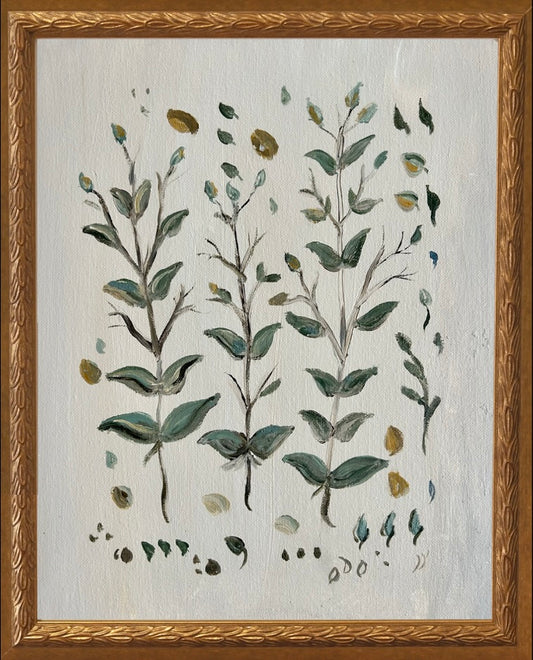 Botanical Studies - Boxwood