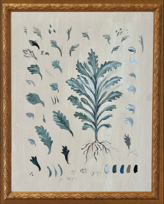 Botanical Studies - Dusty Miller