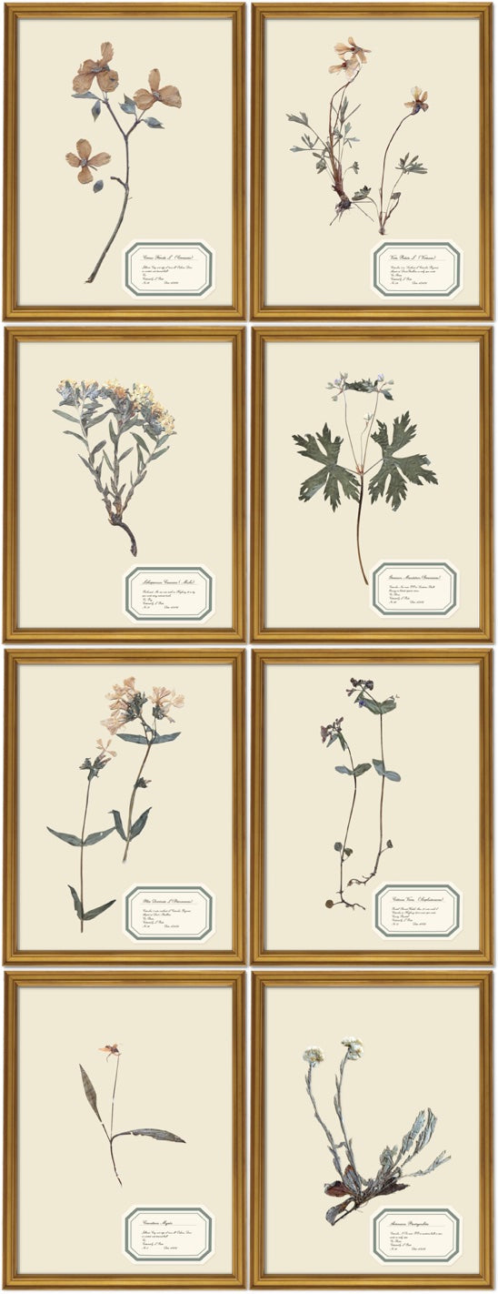 Aunt Lisa's Vintage Herbarium Prints