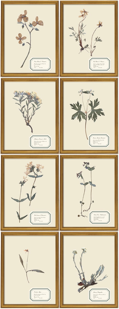 Aunt Lisa's Vintage Herbarium Prints