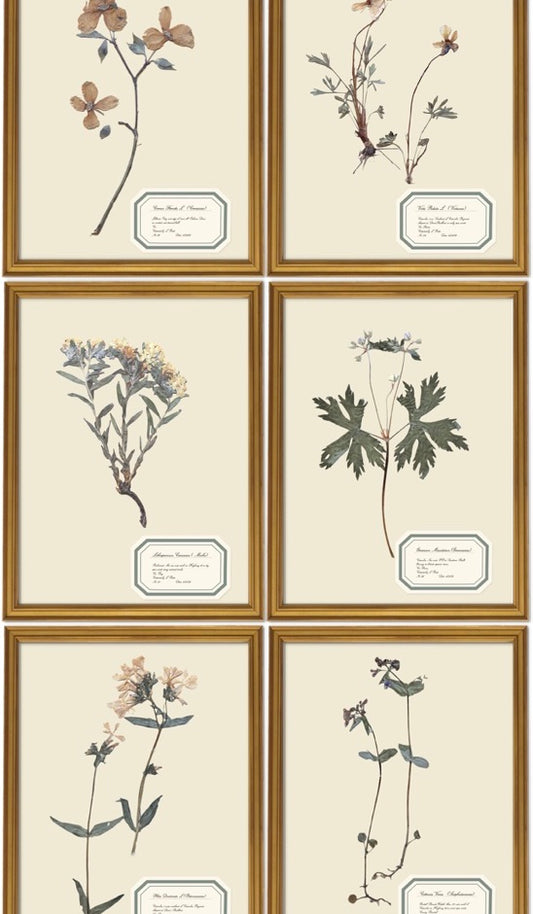 Aunt Lisa's Vintage Herbarium Prints