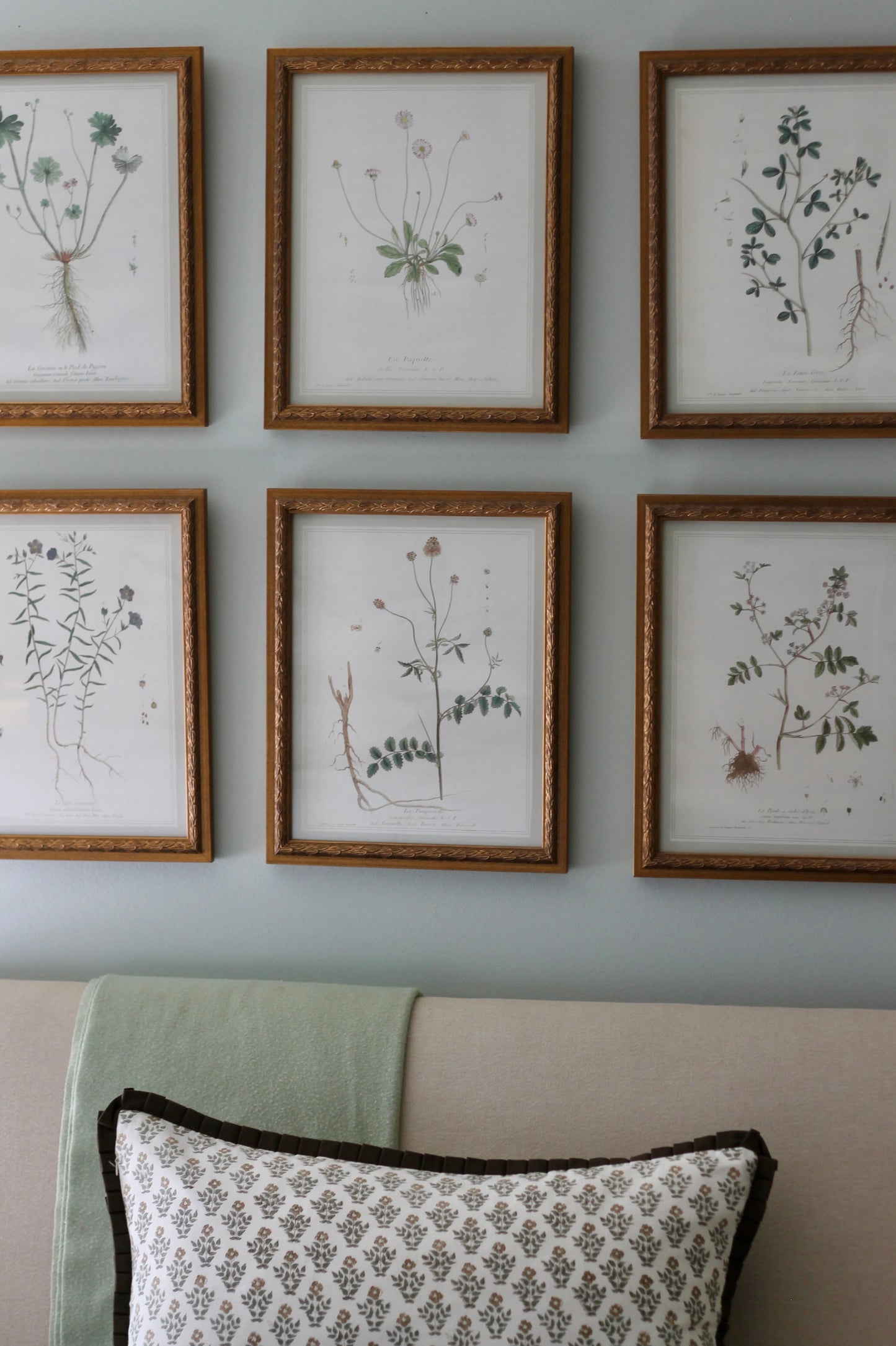 French Botanicals with Soft Border | La Burle