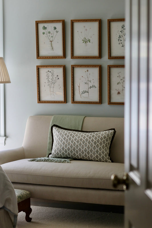 French Botanicals with Soft Border | Set of 8, 3 Sizes