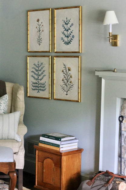 Original Botanical Painting Prints - Mae