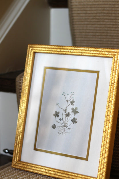 Gold Textured Frames