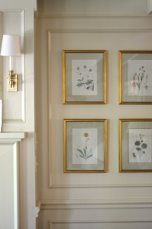 French Botanicals on Cream | Set of 8