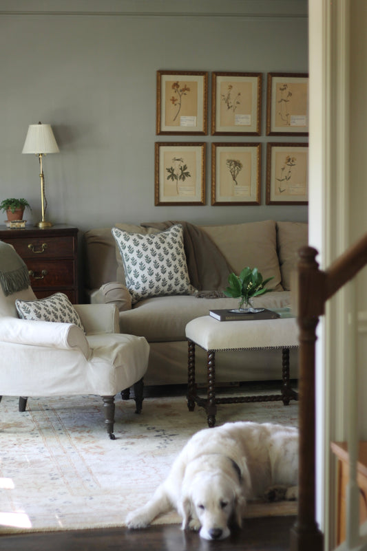 Aunt Lisa's Vintage Herbarium Prints