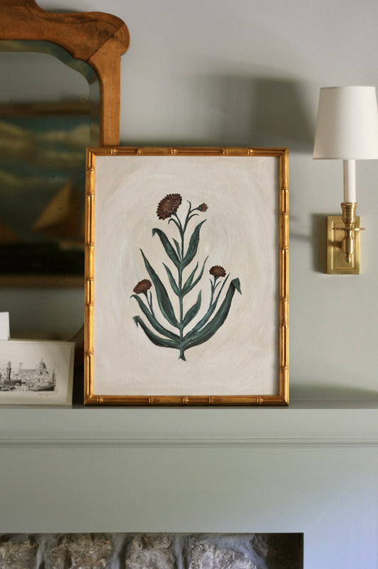 Original Botanical Painting Prints - Amanda