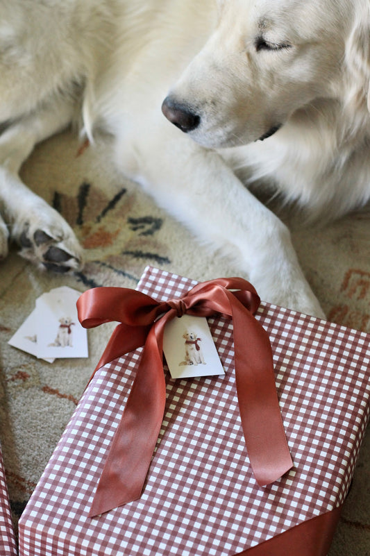 Red Gingham Wrapping Papers - 4 sheets pre-order