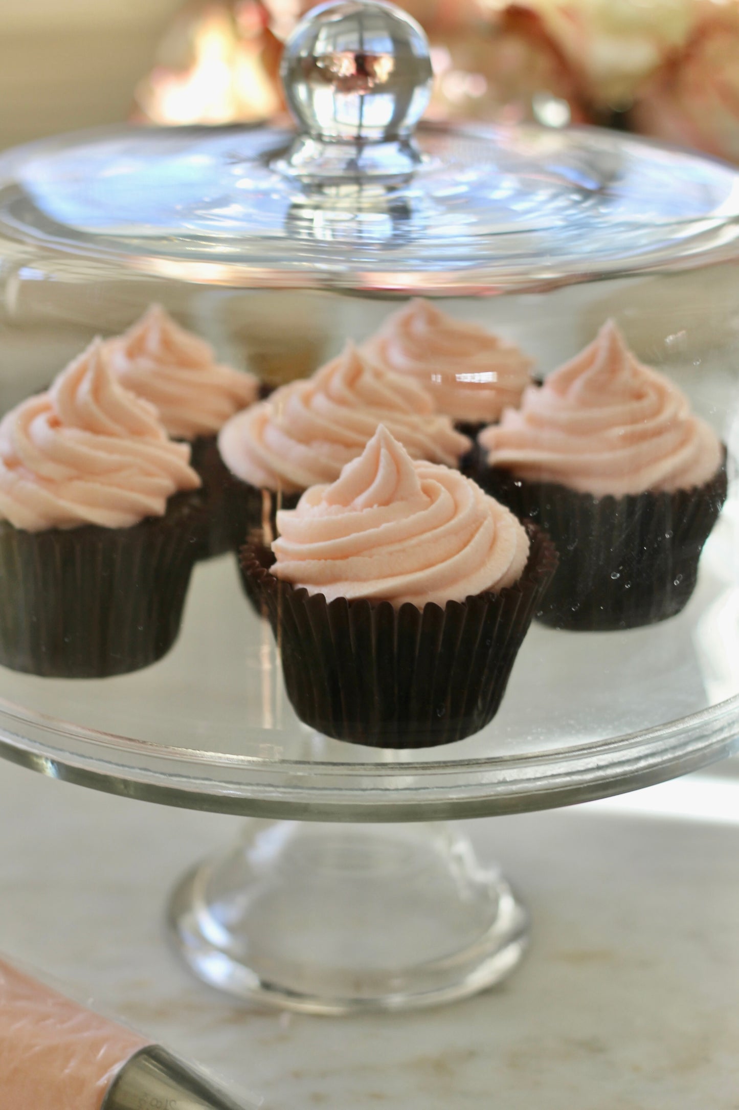 Glass Cake Stand & Dome