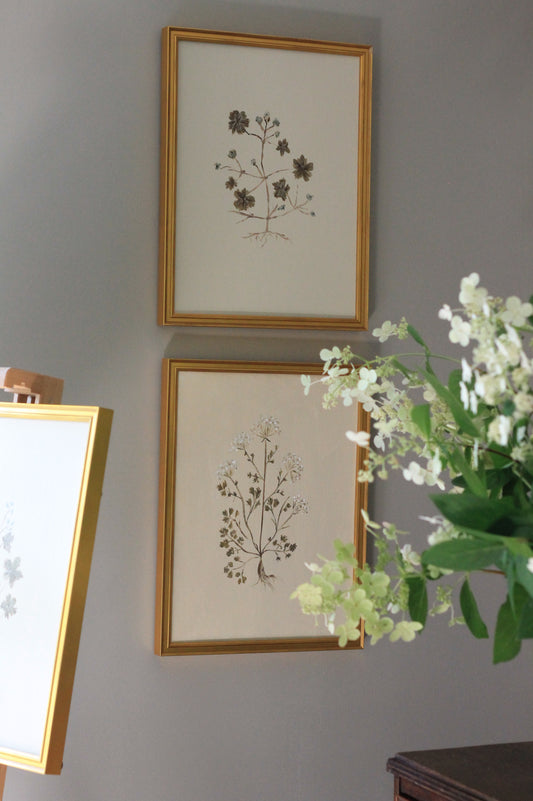 Thin Gold Art Frames