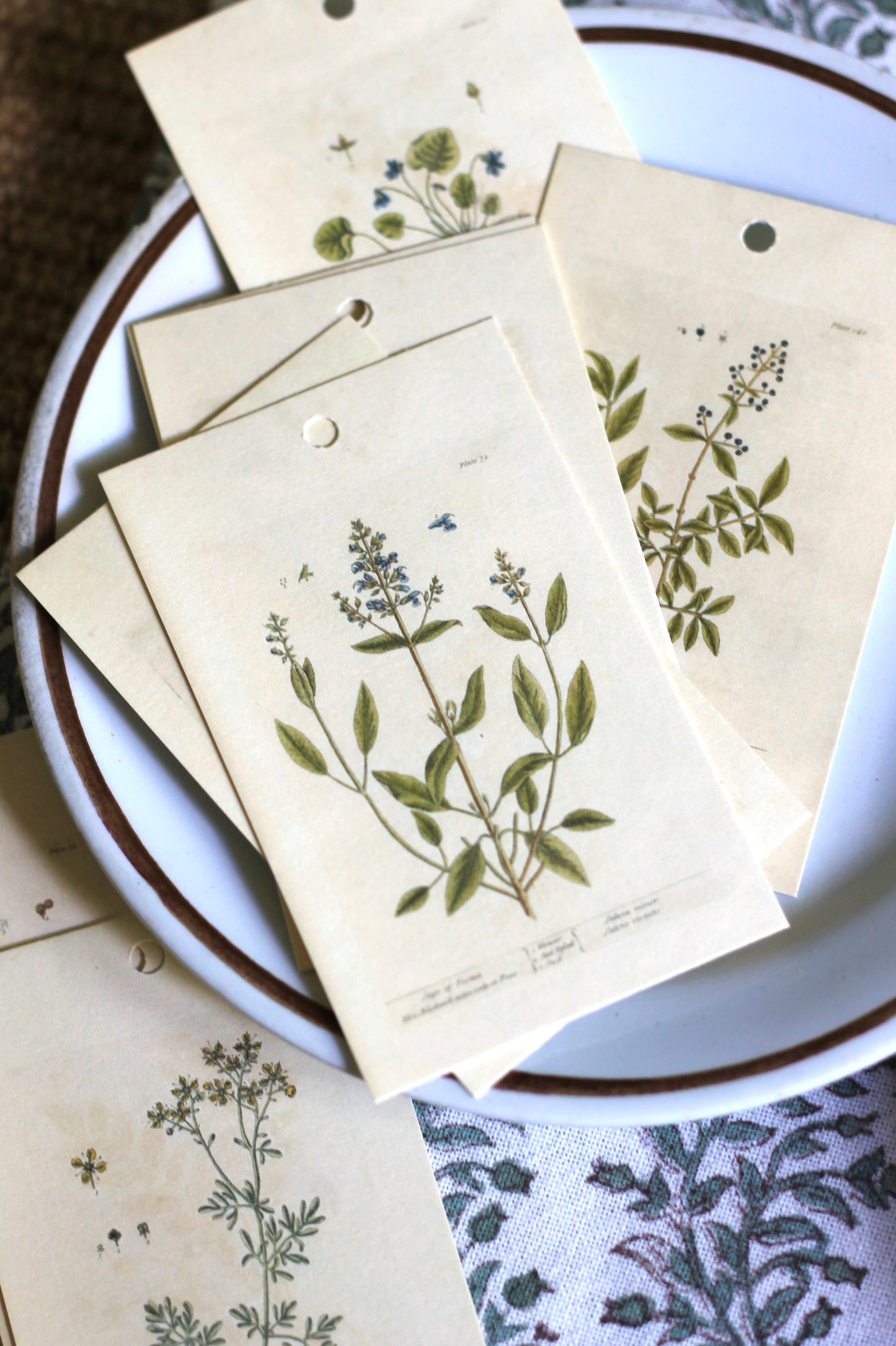 Botanical Tags