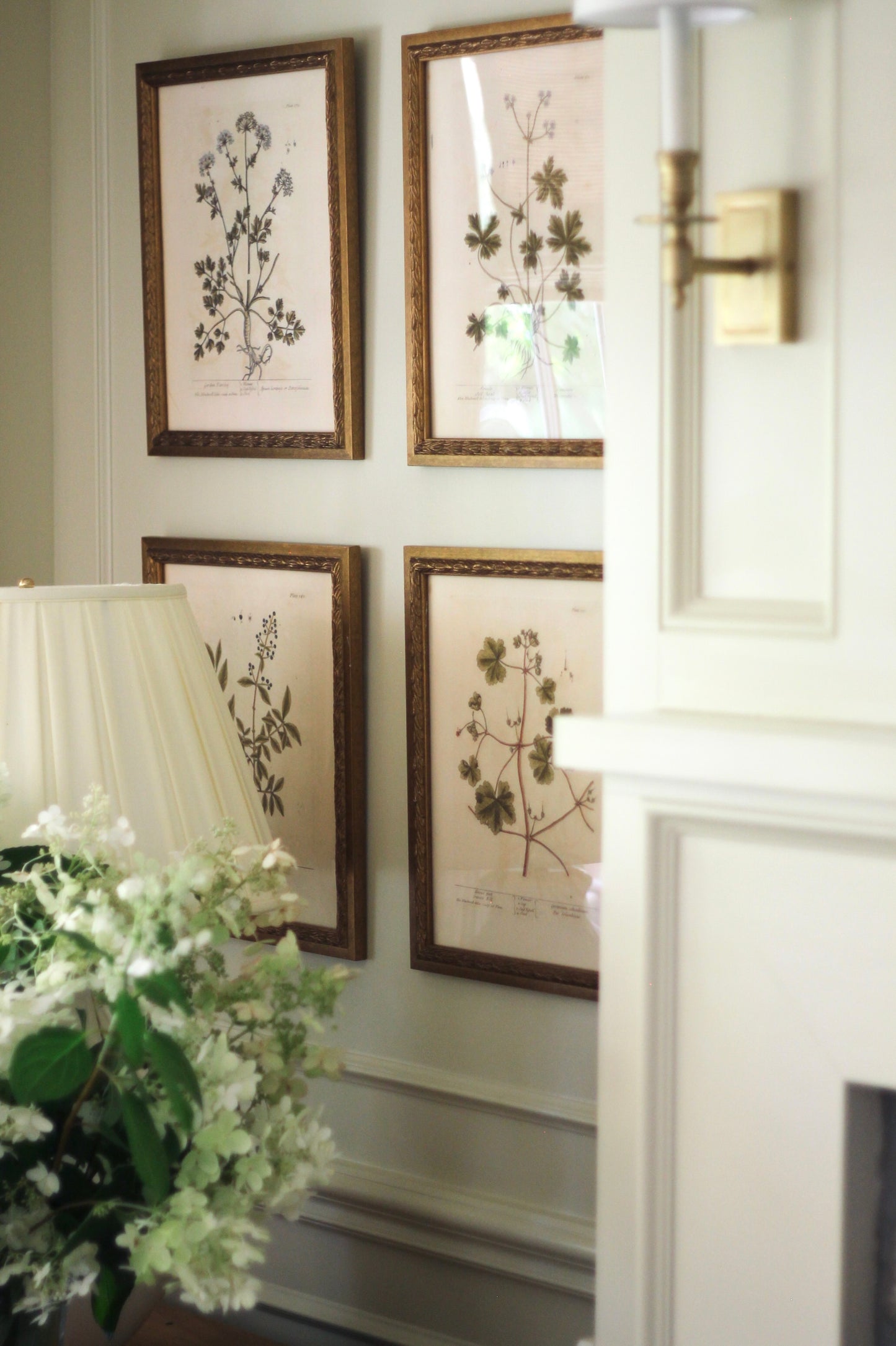 Botanical Collection | Art Prints