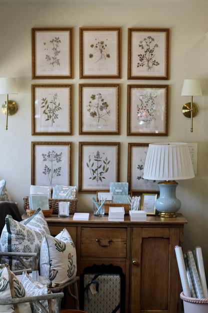 Antique Botanical Collection | Art Prints | Set of 12