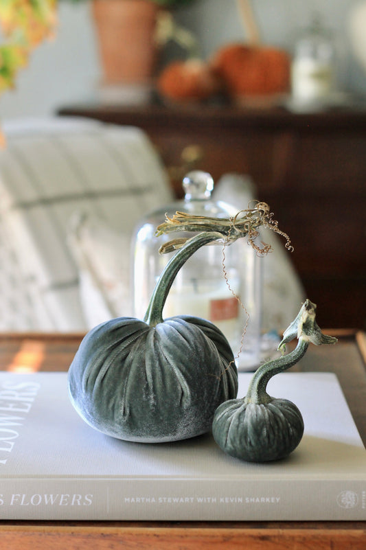 Willow Velvet Pumpkins