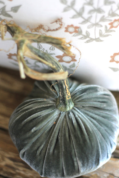 Willow Velvet Pumpkins