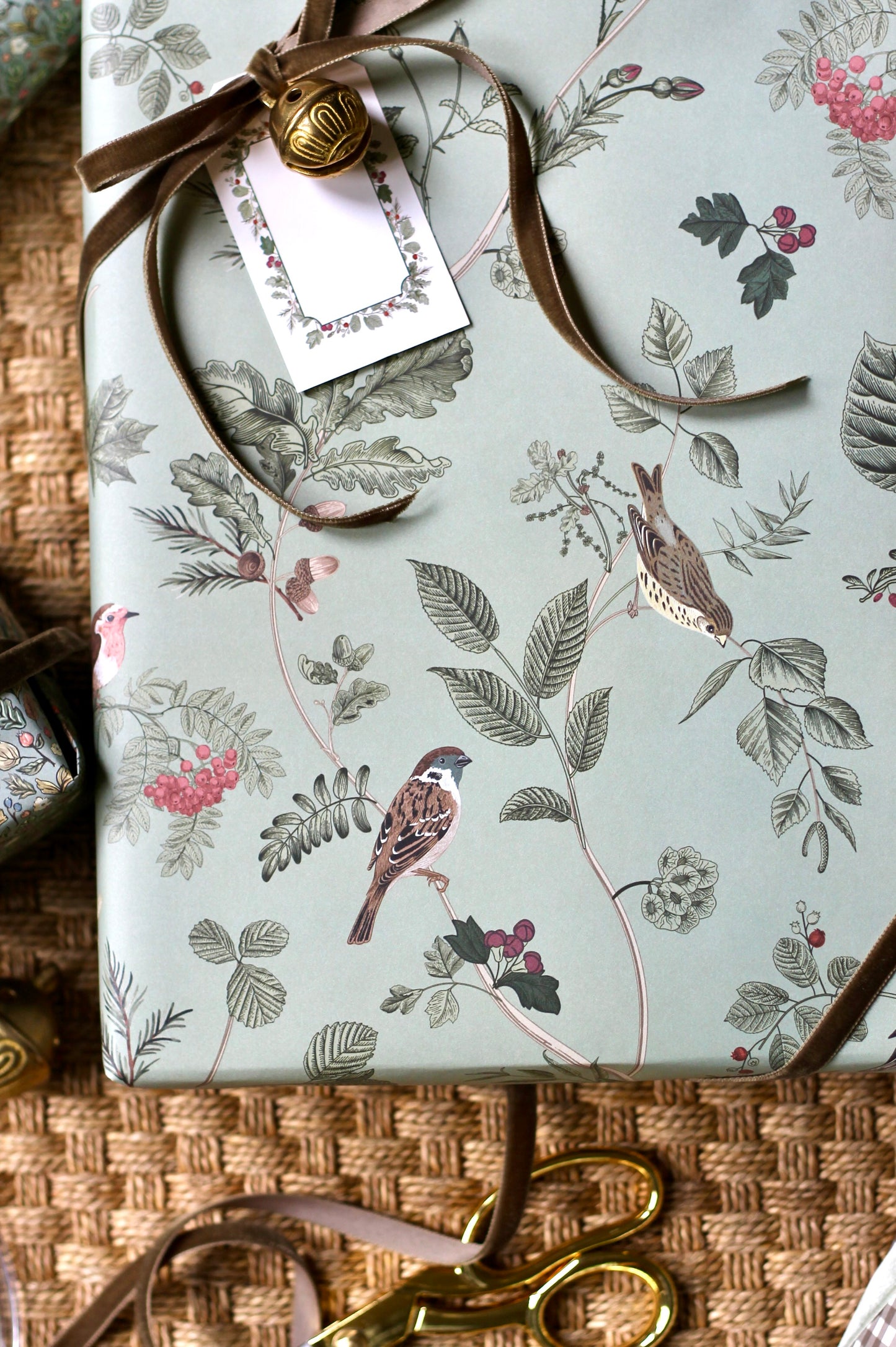 JSH + WPD Whittney's Botanical & Birds Wrapping Paper