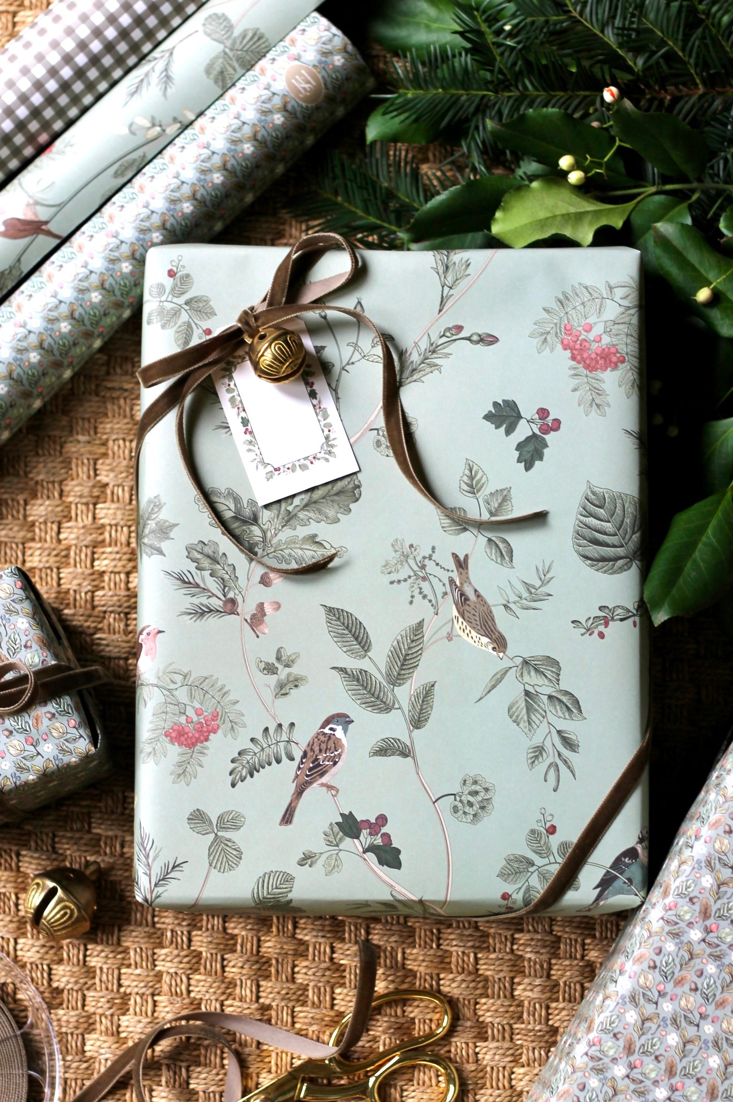 JSH + WPD Whittney's Botanical & Birds Wrapping Paper