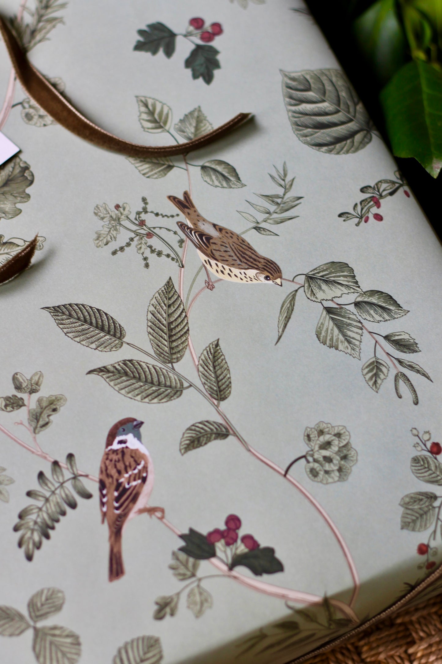 JSH + WPD Whittney's Botanical & Birds Wrapping Paper