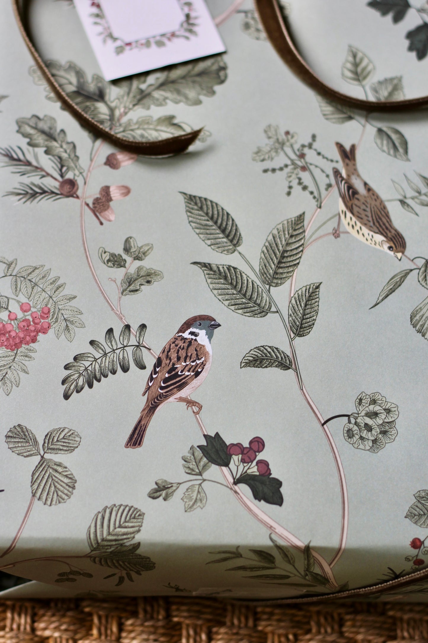 JSH + WPD Whittney's Botanical & Birds Wrapping Paper
