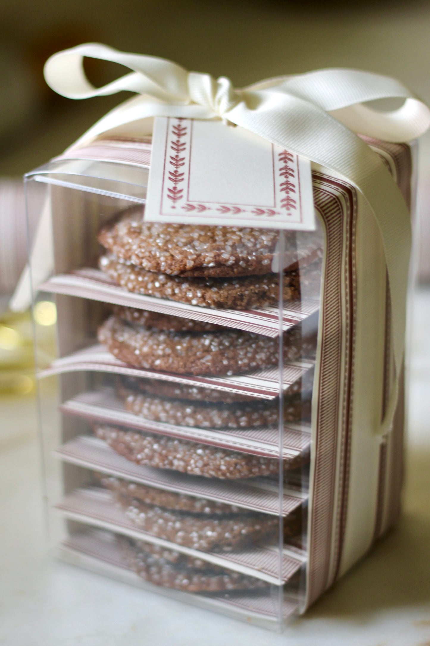 Clear Boxes | set of 5