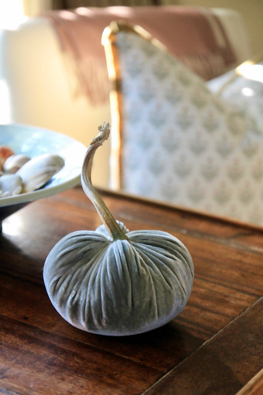 English Blue Velvet Pumpkin