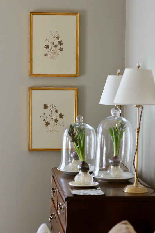 Original Botanical Painting Prints - Set of 4