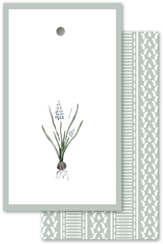 Muscari Tags